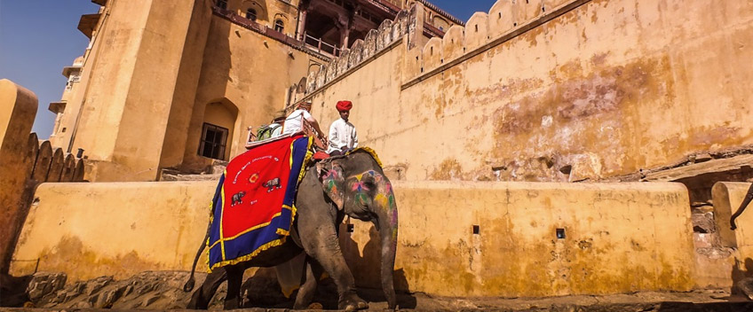 Elephant Ride Jaipur